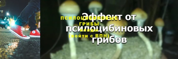 apvp Арсеньев