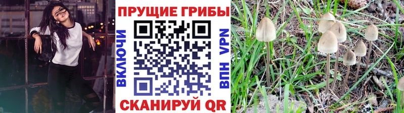 Галлюциногенные грибы мицелий  KRAKEN как войти  Рыбное 