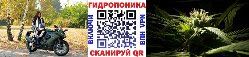 Канабис семена Рыбное
